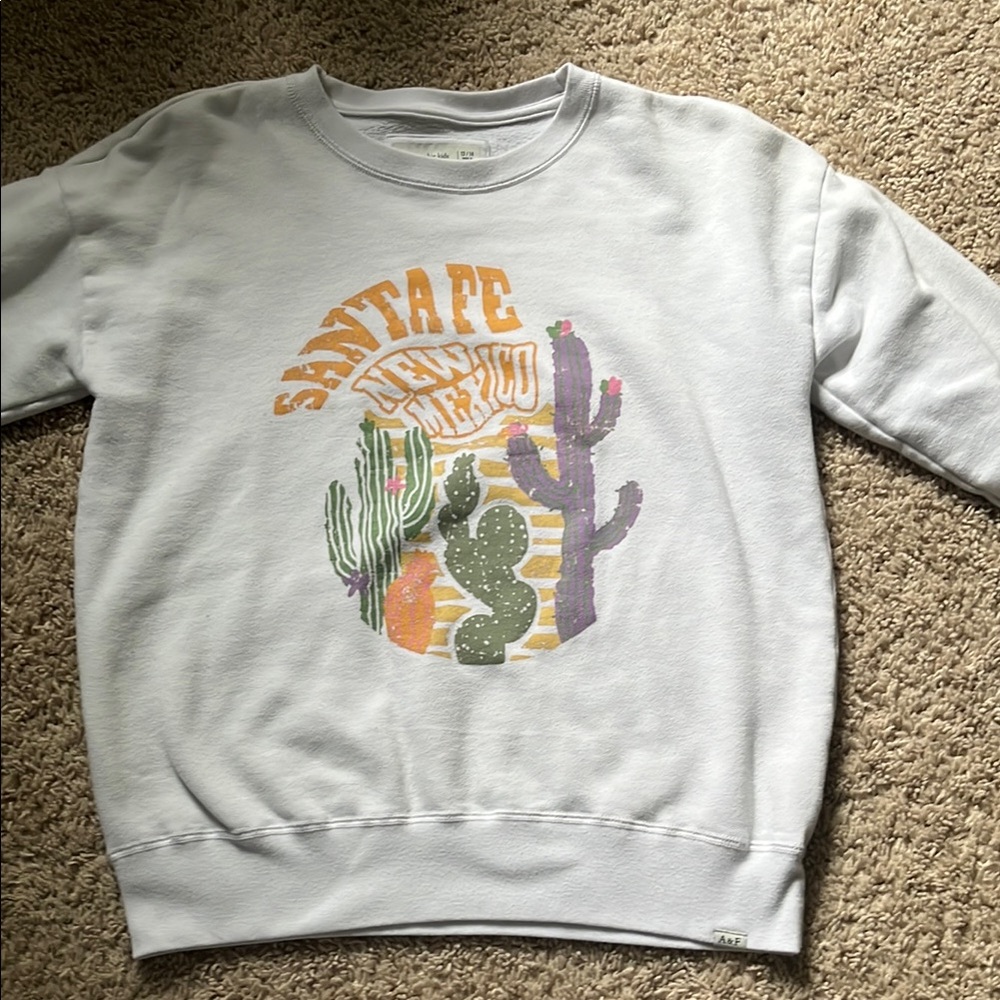 Abercrombie Kids Santa Fe Cactus Sweatshirt - White